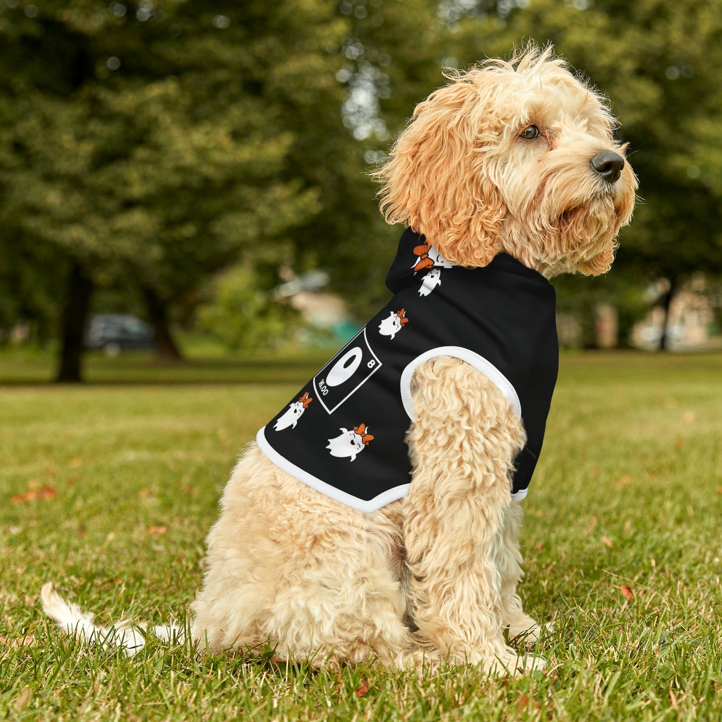 Halloween Pet Hoodie - Hey Boo! (Ghost with Bow)