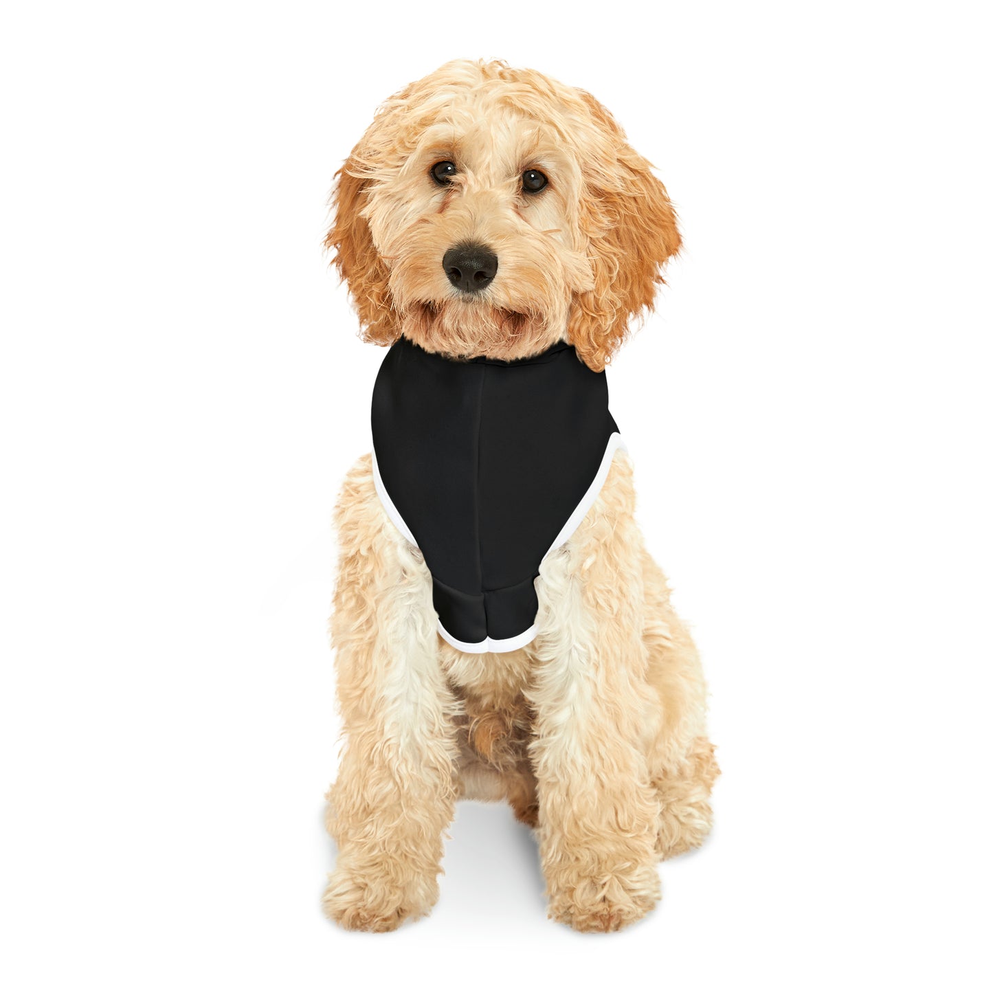Halloween Pet Hoodie - Hey Boo! (Ghost with Bow)