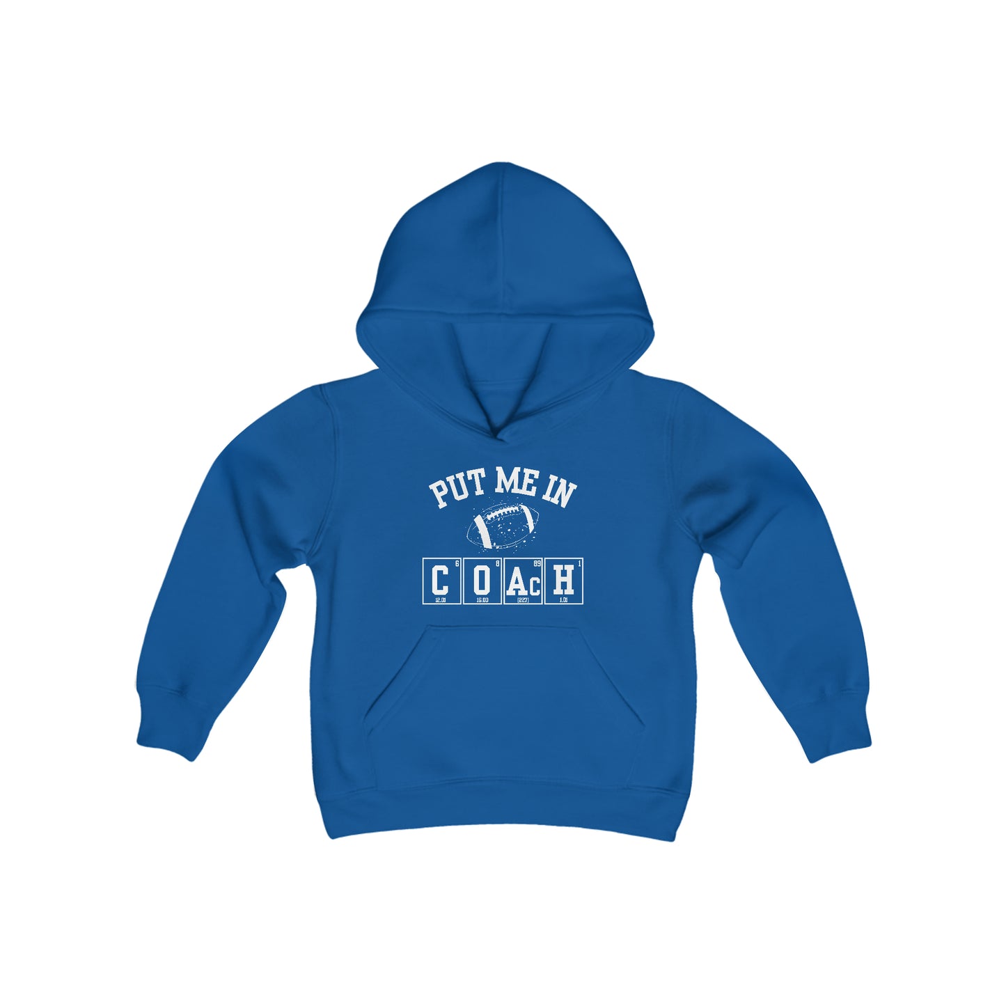 YOUTH - Put Me In Coach Hooded Sweatshirt - Football Game Day Science Hoodie