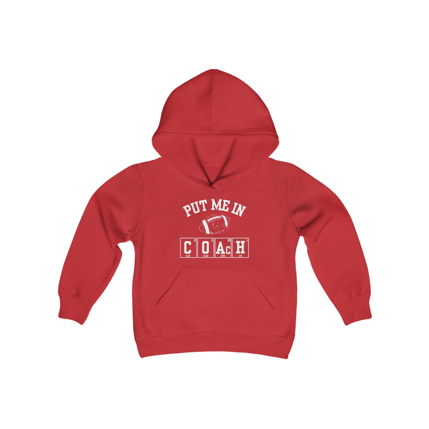 YOUTH - Put Me In Coach Hooded Sweatshirt - Football Game Day Science Hoodie