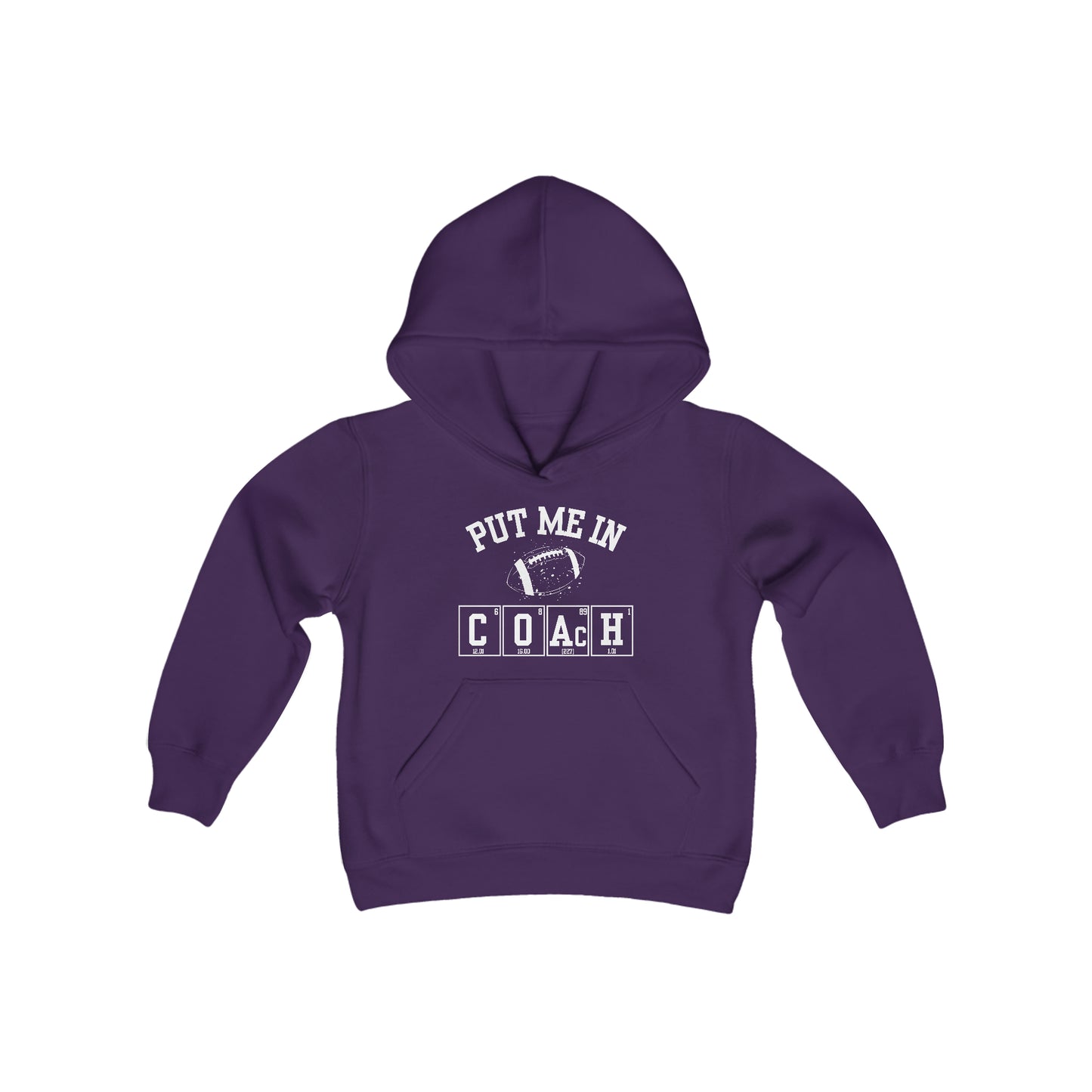 YOUTH - Put Me In Coach Hooded Sweatshirt - Football Game Day Science Hoodie