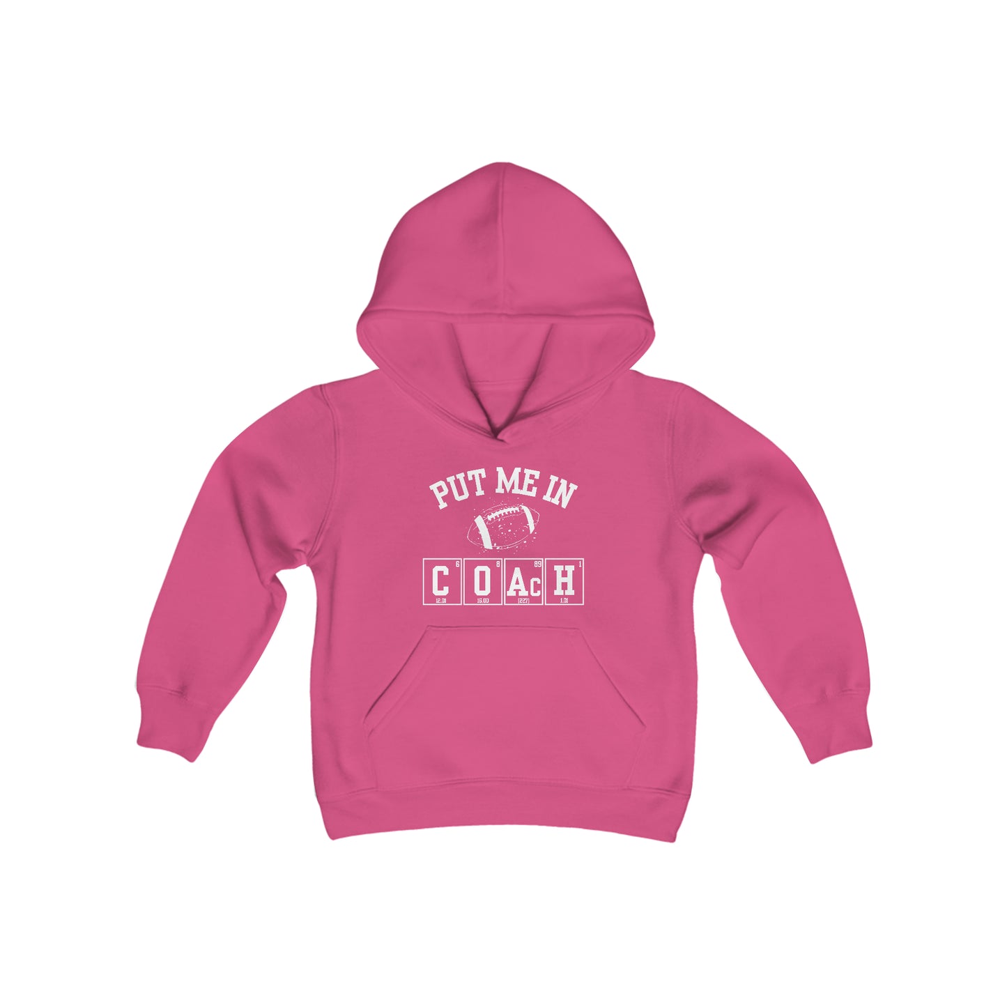 YOUTH - Put Me In Coach Hooded Sweatshirt - Football Game Day Science Hoodie