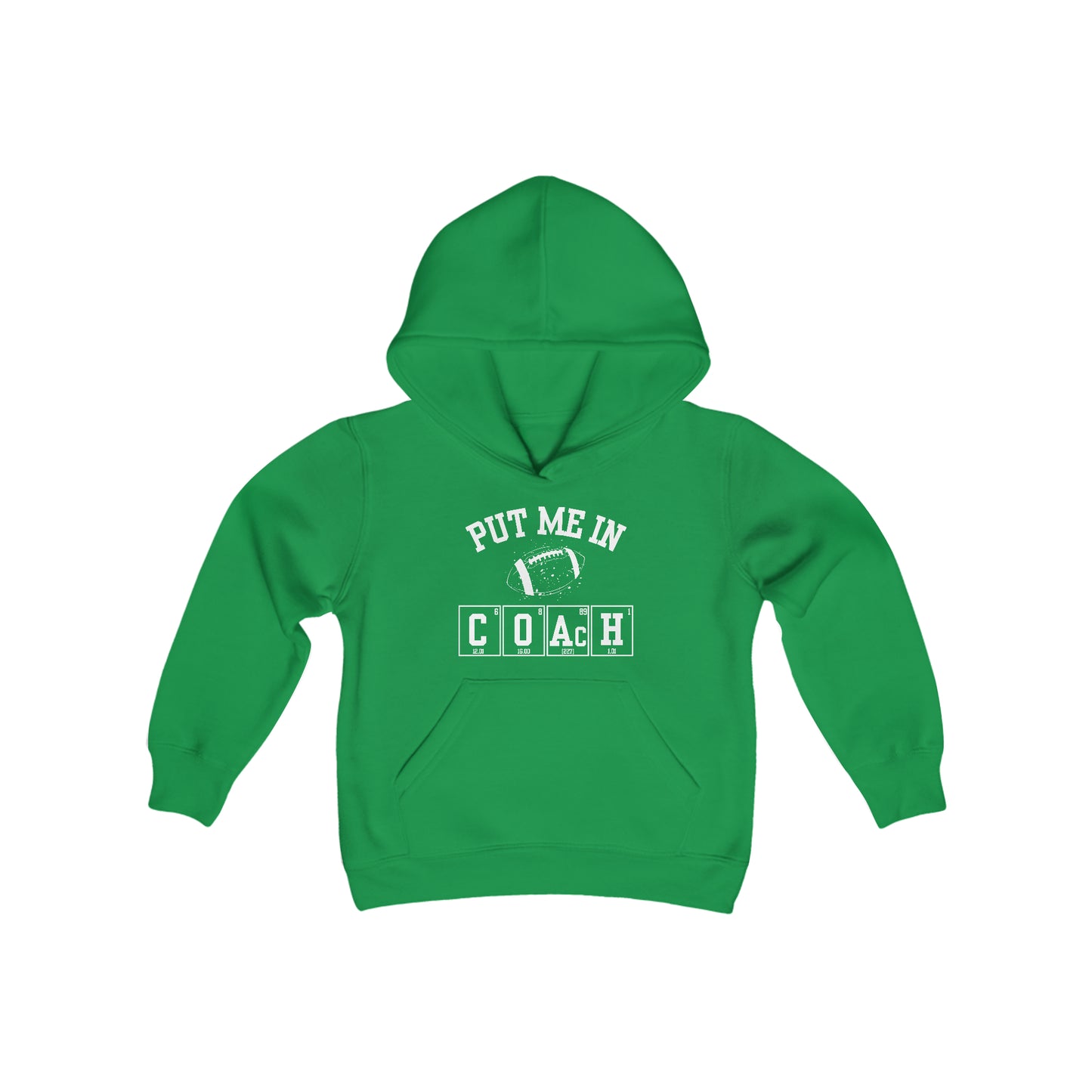 YOUTH - Put Me In Coach Hooded Sweatshirt - Football Game Day Science Hoodie