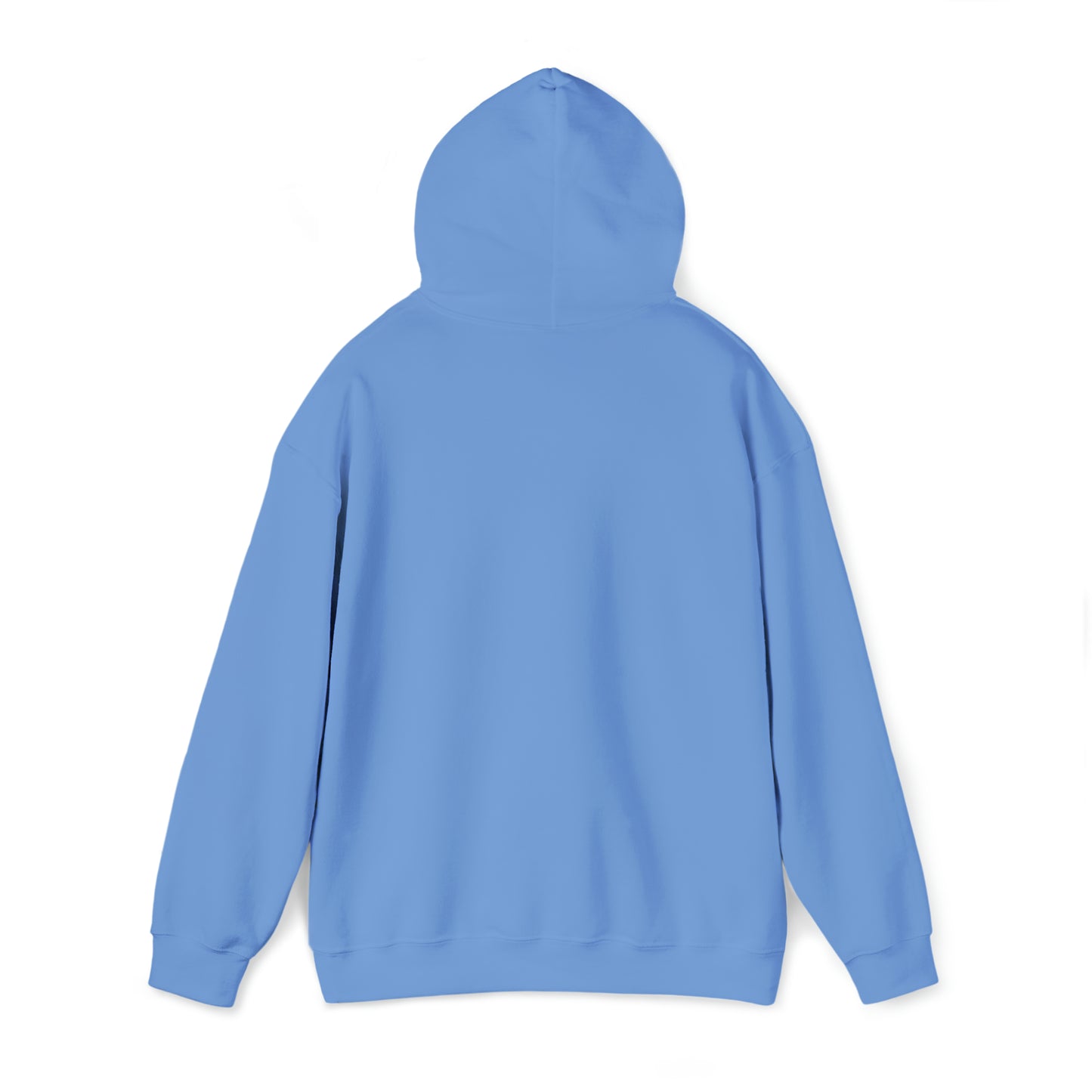 Libraries Matter Hooded Sweatshirt, Libraries Matter Hoodie, Librarian Hoodie, Librarian Sweatshirt