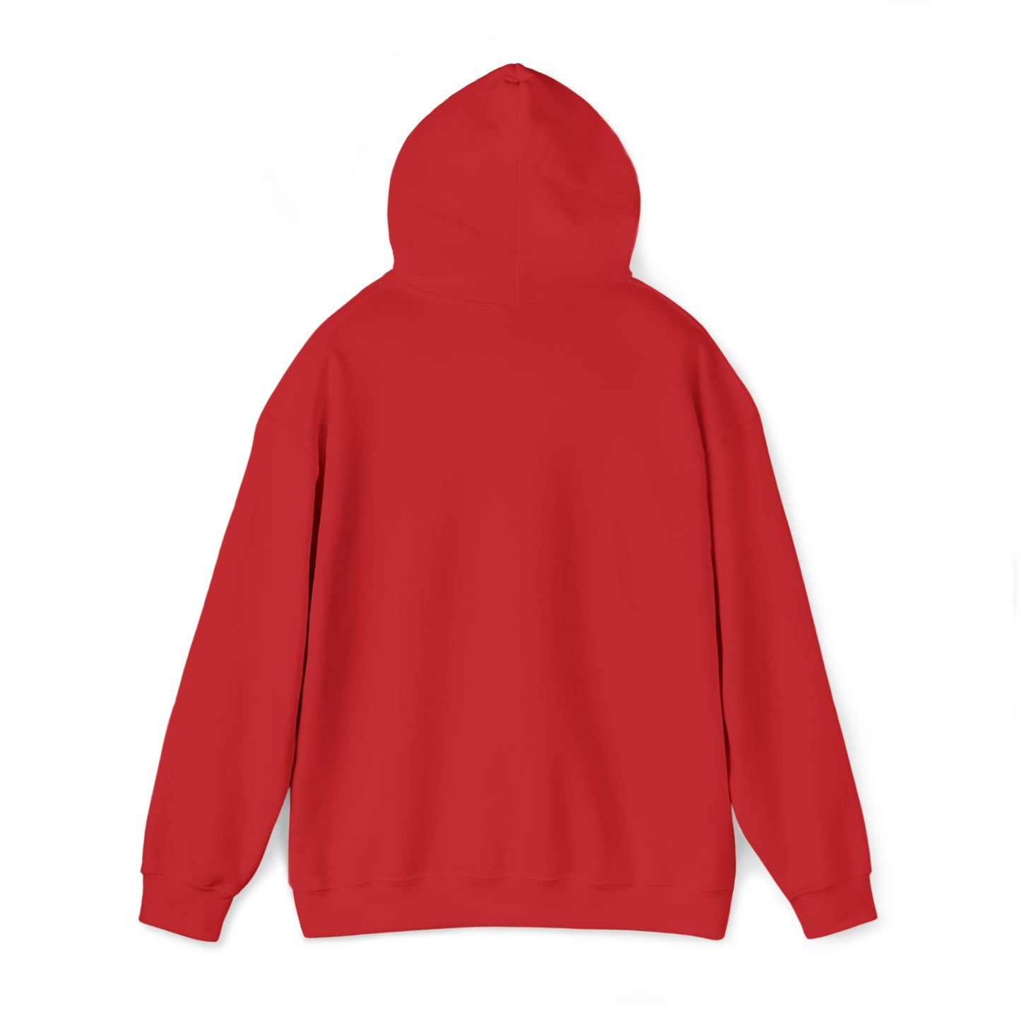 Libraries Matter Hooded Sweatshirt, Libraries Matter Hoodie, Librarian Hoodie, Librarian Sweatshirt
