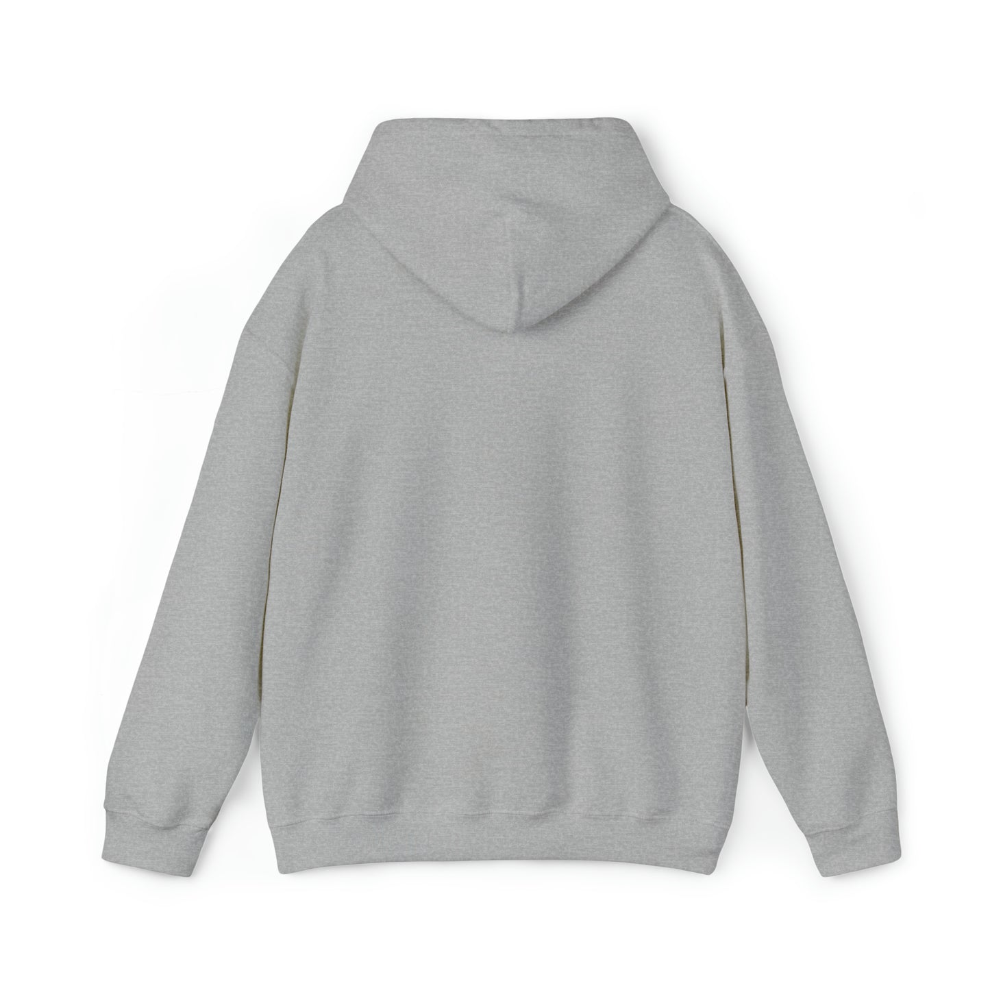 Libraries Matter Hooded Sweatshirt, Libraries Matter Hoodie, Librarian Hoodie, Librarian Sweatshirt