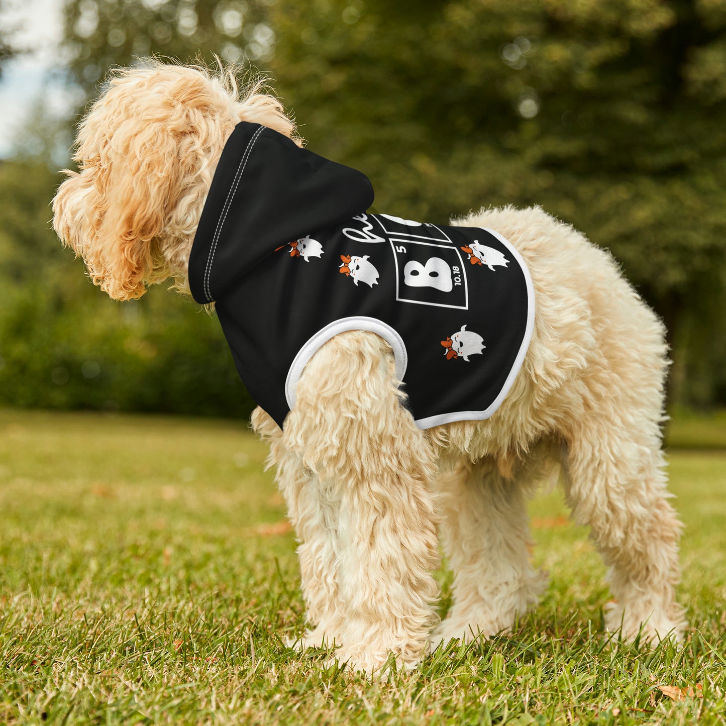 Halloween Pet Hoodie - Hey Boo! (Ghost with Bow)