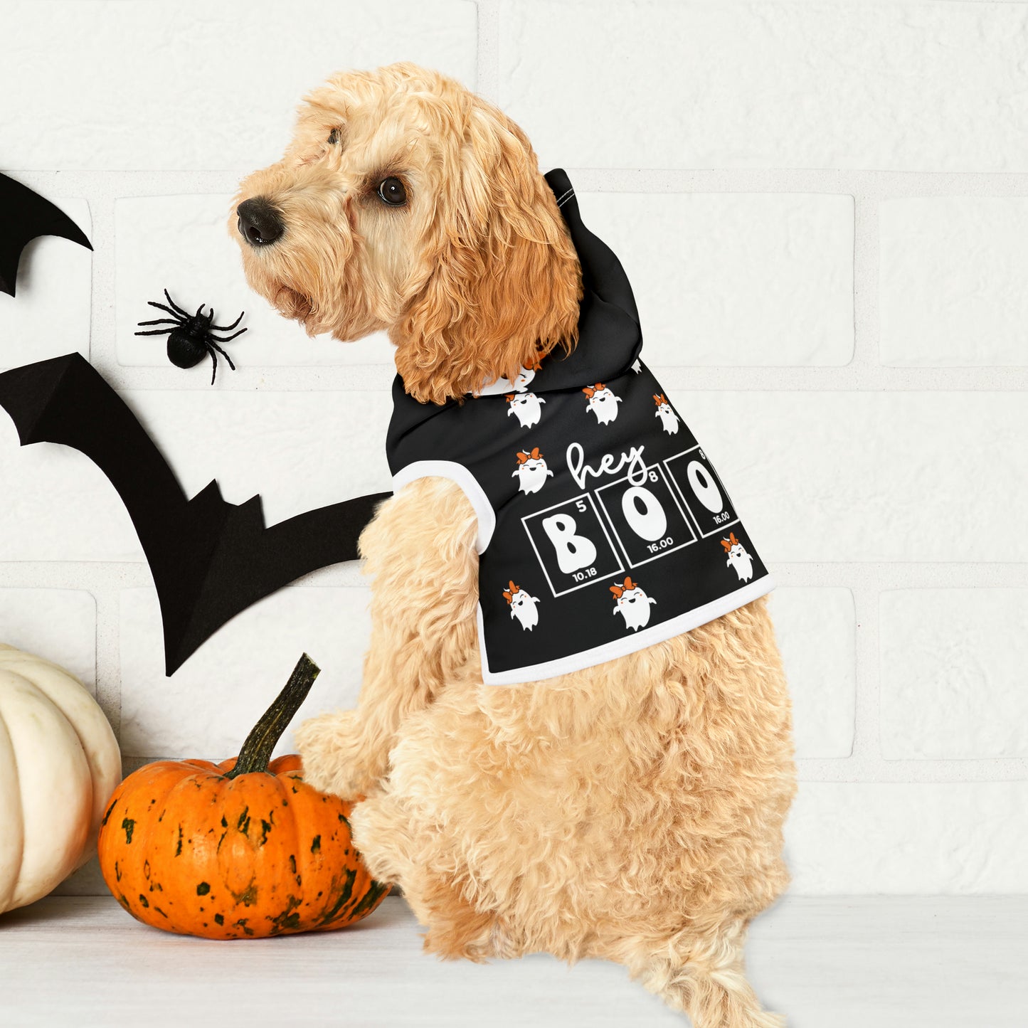 Halloween Pet Hoodie - Hey Boo! (Ghost with Bow)