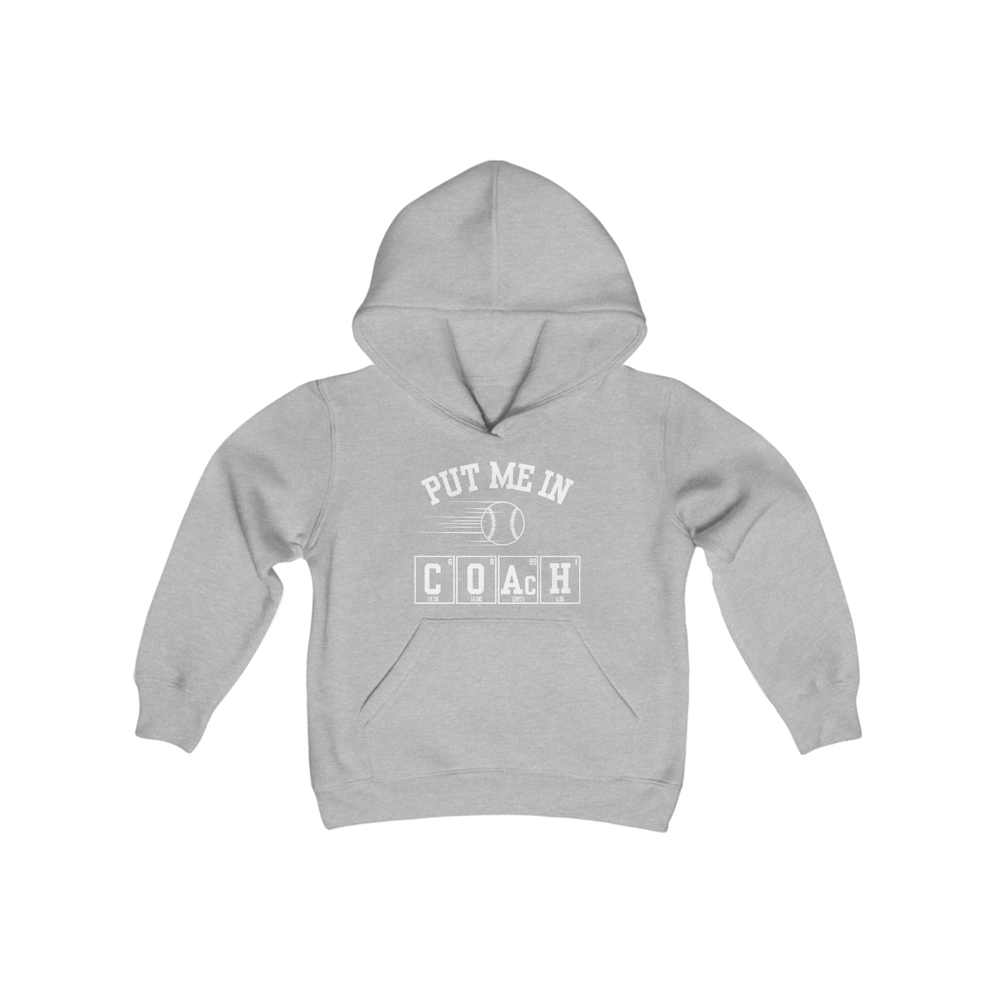 YOUTH - Put Me In Coach Hooded Sweatshirt - Baseball Game Day Science Hoodie