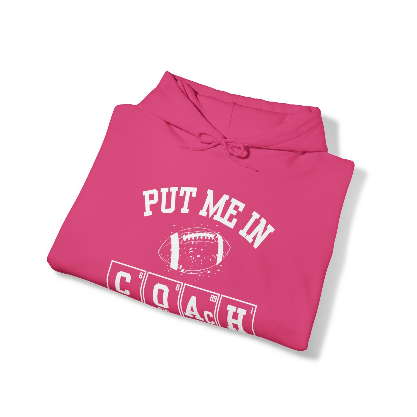 ADULT - Put Me in Coach Hooded Sweatshirt - Football Game Day Science Hoodie