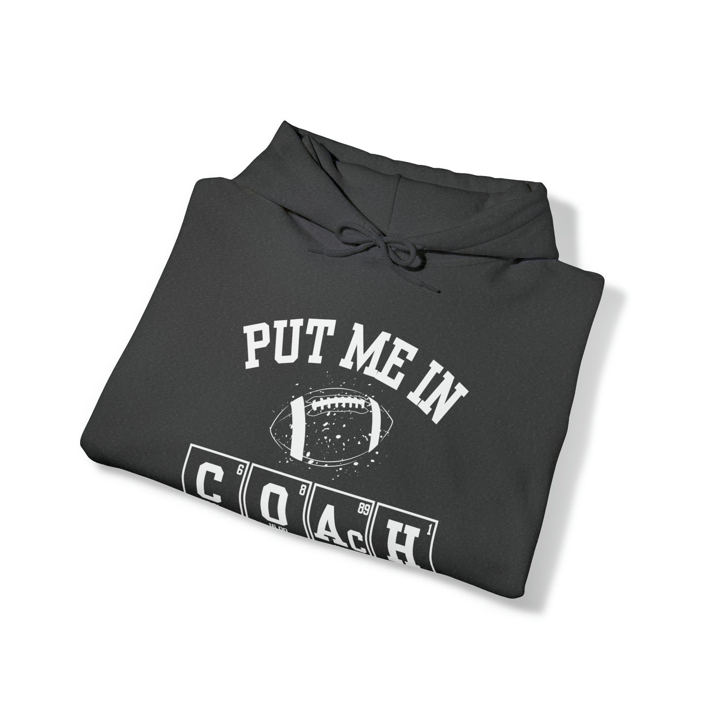 ADULT - Put Me in Coach Hooded Sweatshirt - Football Game Day Science Hoodie