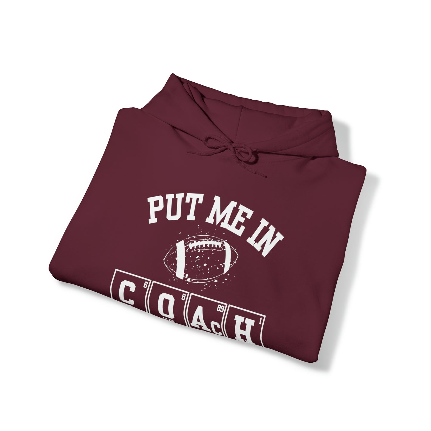 ADULT - Put Me in Coach Hooded Sweatshirt - Football Game Day Science Hoodie