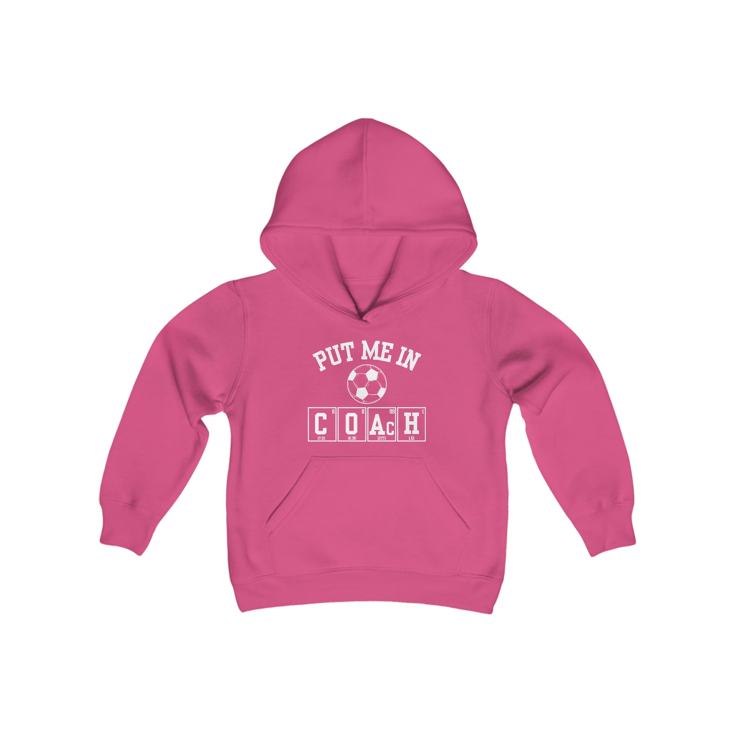 YOUTH - Put Me In Coach Hooded Sweatshirt - Soccer Game Day Science Hoodie