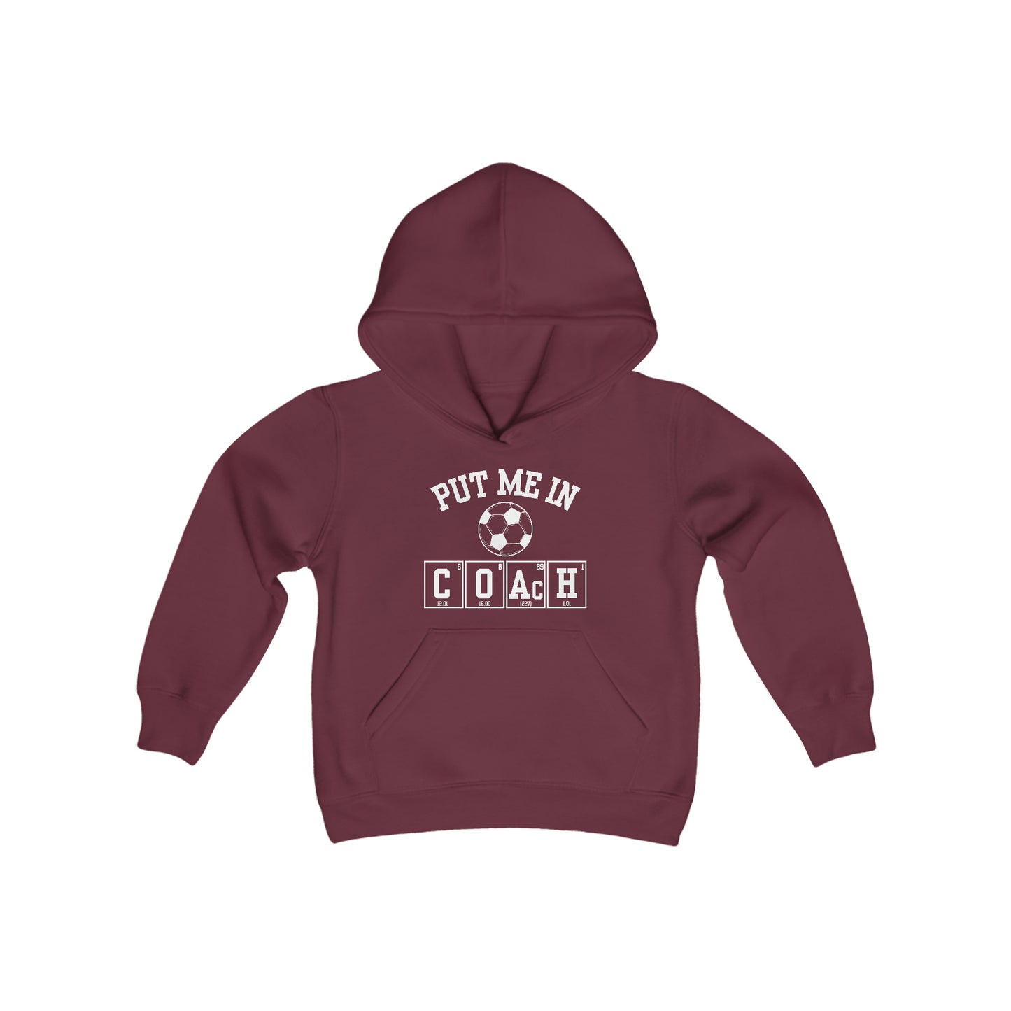 YOUTH - Put Me In Coach Hooded Sweatshirt - Soccer Game Day Science Hoodie