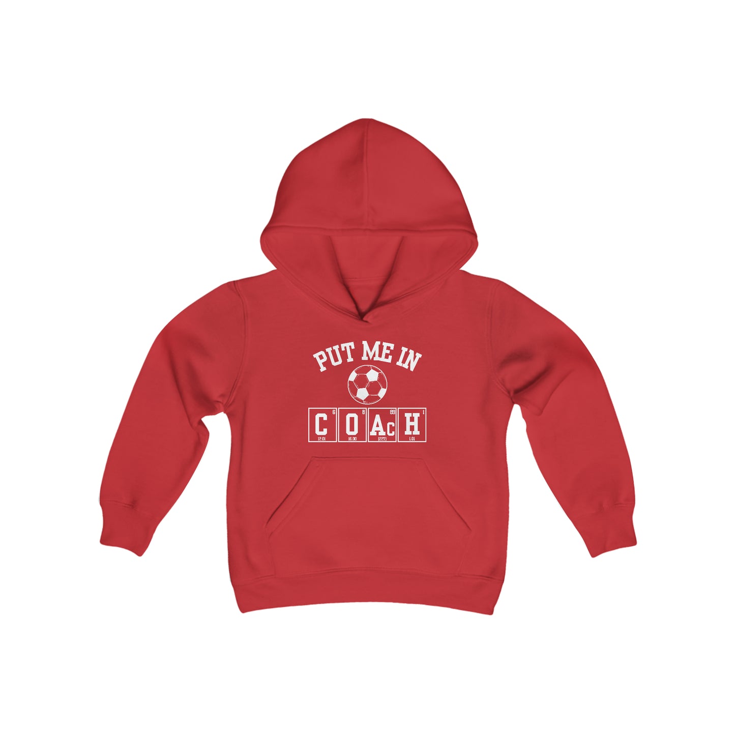 YOUTH - Put Me In Coach Hooded Sweatshirt - Soccer Game Day Science Hoodie