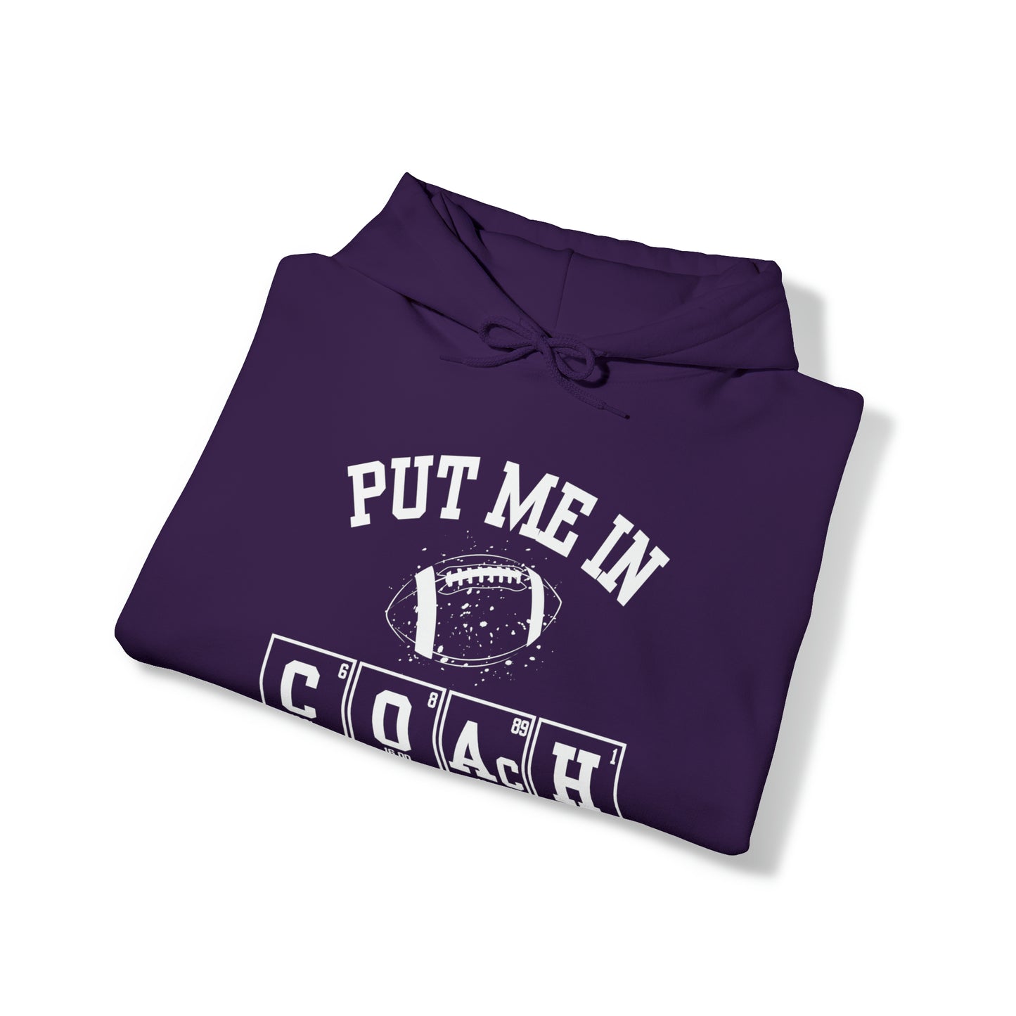 ADULT - Put Me in Coach Hooded Sweatshirt - Football Game Day Science Hoodie