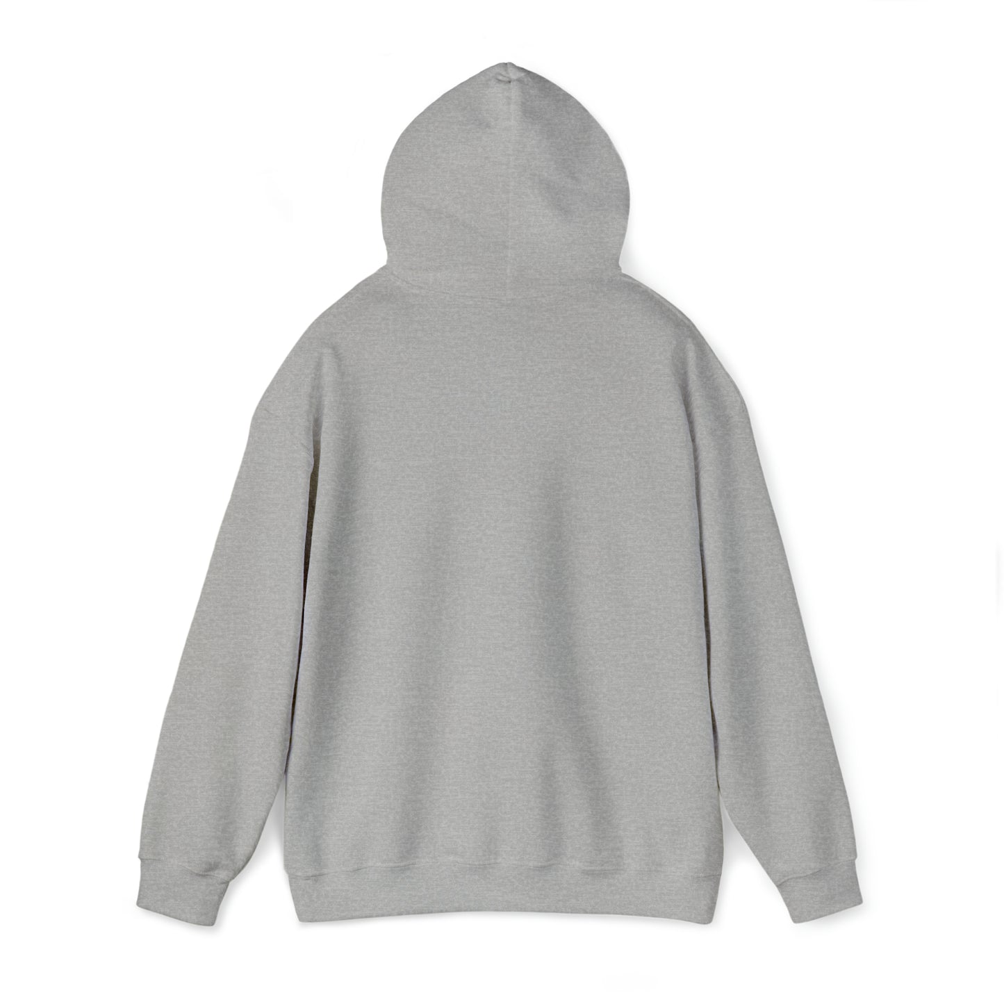 Libraries Matter Hooded Sweatshirt, Libraries Matter Hoodie, Librarian Hoodie, Librarian Sweatshirt