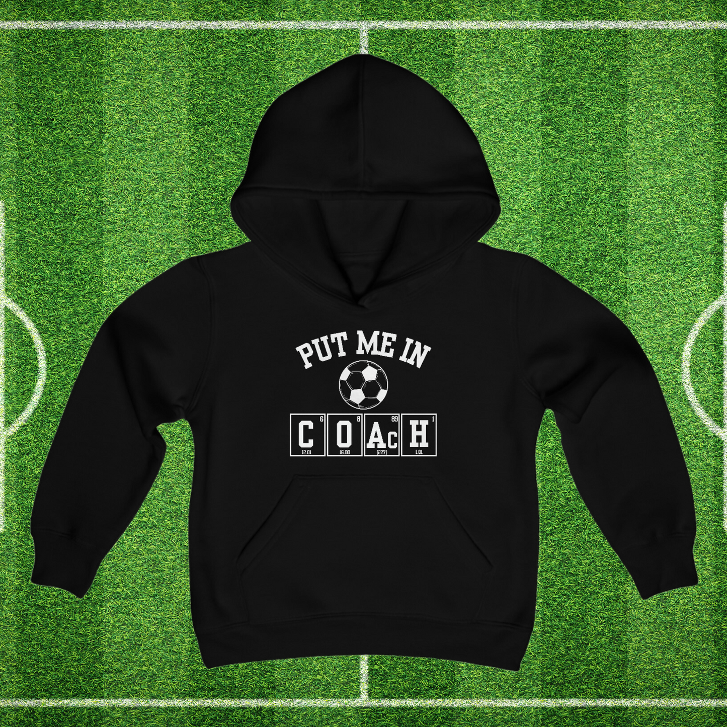 YOUTH - Put Me In Coach Hooded Sweatshirt - Soccer Game Day Science Hoodie