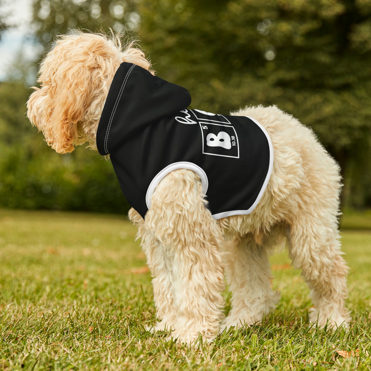 Halloween Pet Hoodie - Hey Boo!