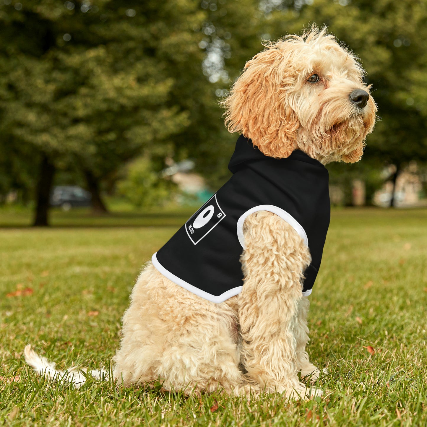 Halloween Pet Hoodie - Hey Boo!