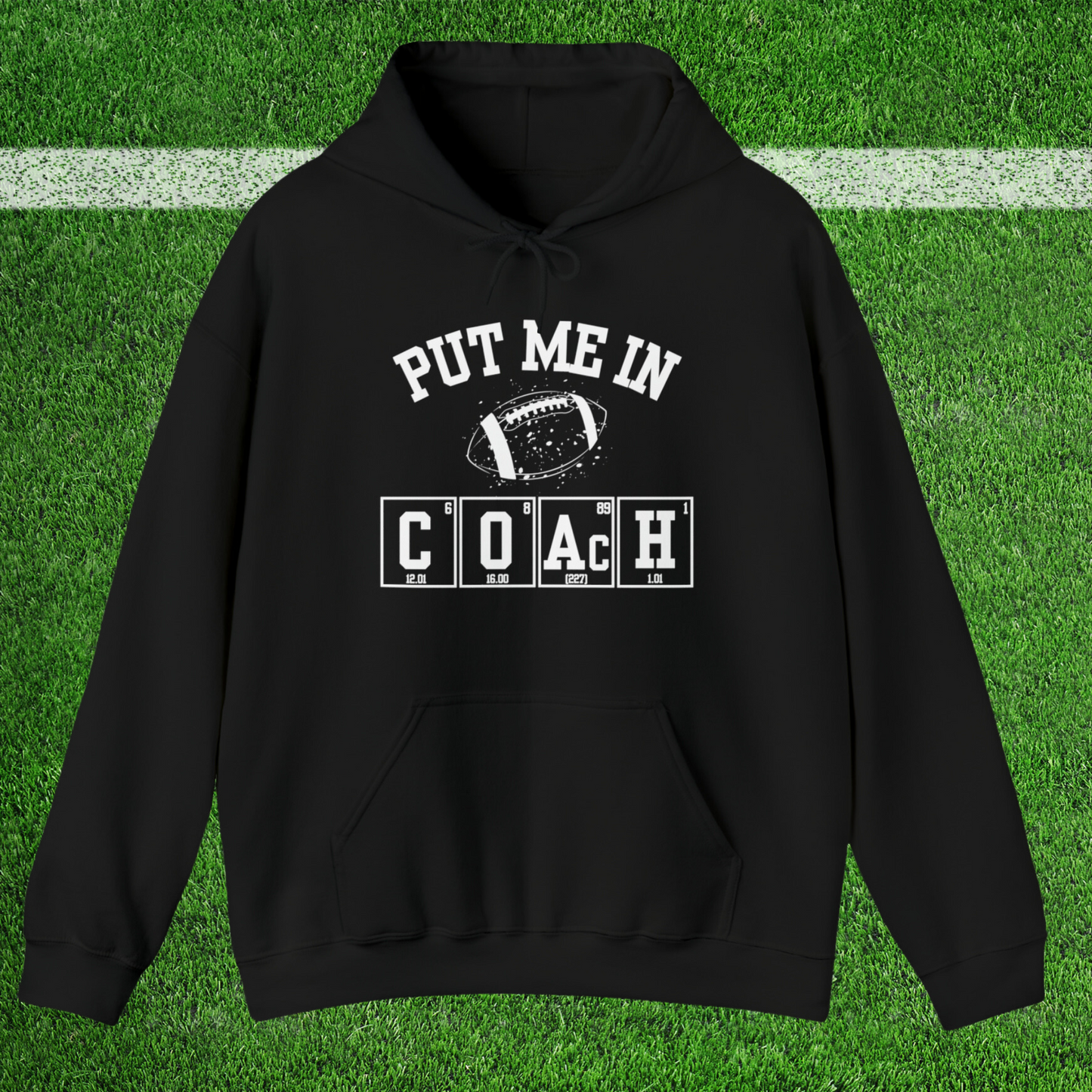 ADULT - Put Me in Coach Hooded Sweatshirt - Football Game Day Science Hoodie