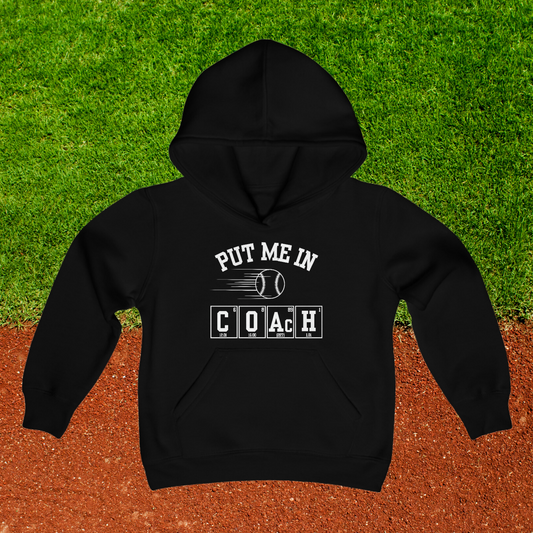 YOUTH - Put Me In Coach Hooded Sweatshirt - Baseball Game Day Science Hoodie